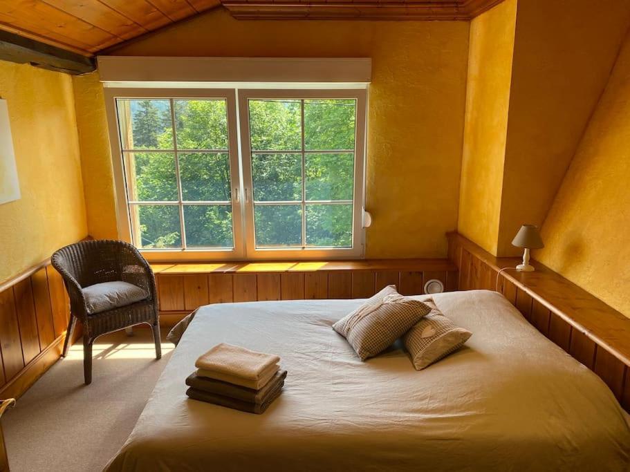 Ferme De Chenezeau - 15 Personnes , 7 Chambres Gérardmer Eksteriør bilde