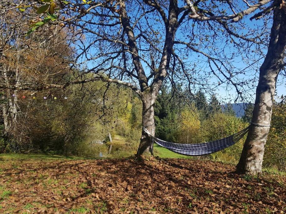 Ferme De Chenezeau - 15 Personnes , 7 Chambres Gérardmer Eksteriør bilde